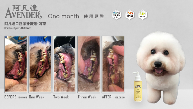 游戏攻略