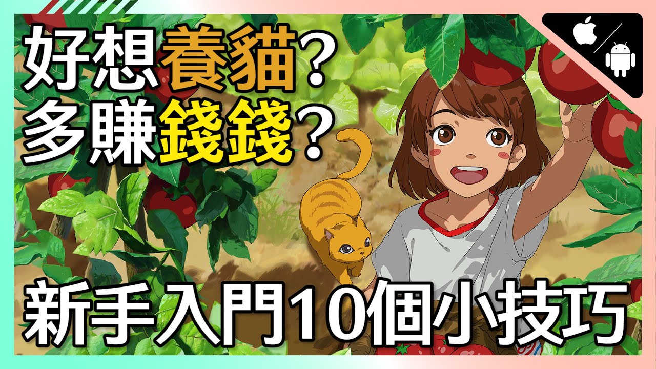 游戏攻略