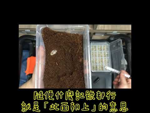 游戏相关